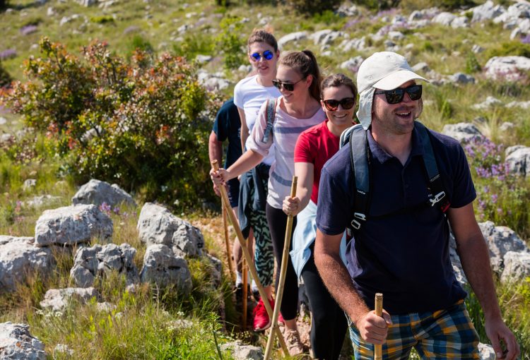 THE GREEN HIKING EXPERIENCE