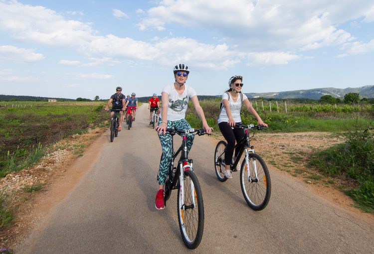 THE YELLOW CYCLING EXPERIENCE